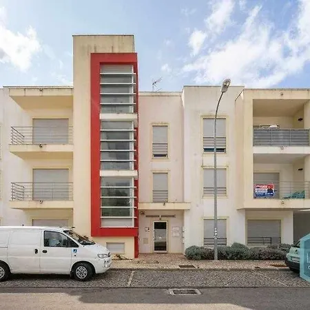 Medronheira B2 Dream