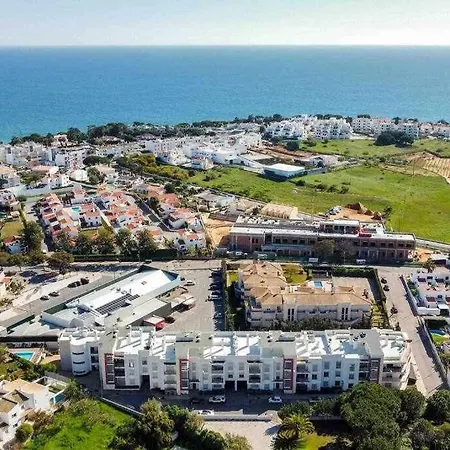 Medronheira B2 Dream